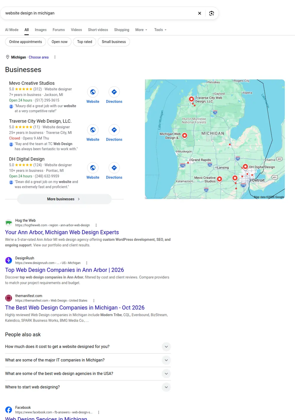 Top Google results for website design in michigan, searched from Michigan