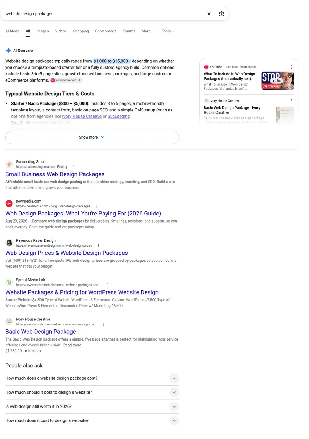 Top Google results for website design packages, searched from United States